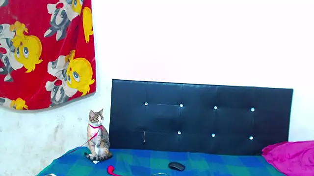 The wickles 4443 online show from 9, 2, 2026