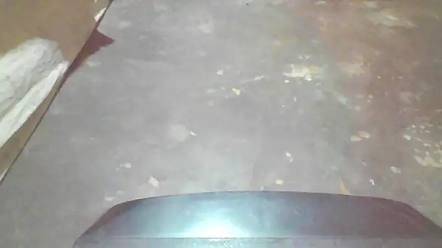 booty big online show from 4, 10, 2025