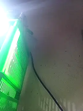 booty big online show from 19, 3, 2026