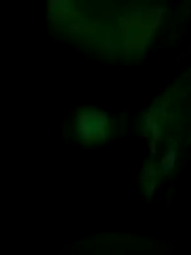 Snapshot of Vuyokaki chatting on 30, 11, 2025 Vuyokaki online show from 30, 11, 2025