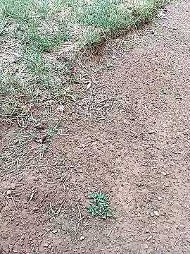 Snapshot of Vuyokaki chatting on 3, 2, 2026 Vuyokaki online show from 3, 2, 2026