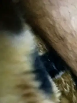 Bigcockmexi13 online show from 15, 5, 2026