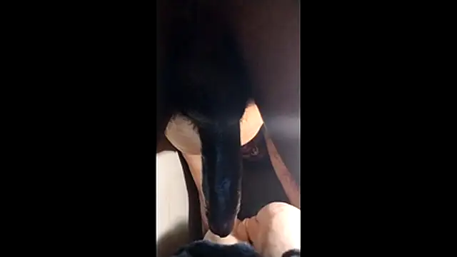 Bigcockmexi13 online show from 23, 11, 2025