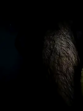 Bigcockmexi13 online show from 18, 4, 2026