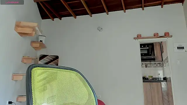 Rainbow leia online show from 12, 10, 2025