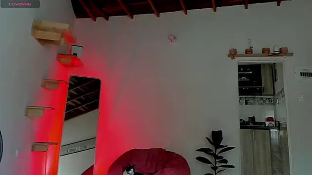 Rainbow leia online show from 15, 11, 2025