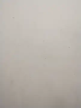 Shuttii 25 online show from 11, 2, 2025