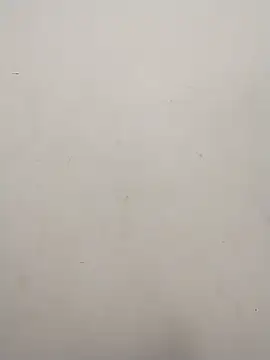 Shuttii 25 online show from 7, 3, 2025