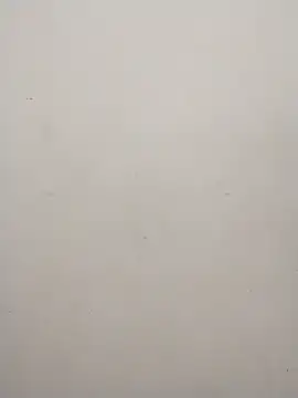 Shuttii 25 online show from 31, 1, 2025