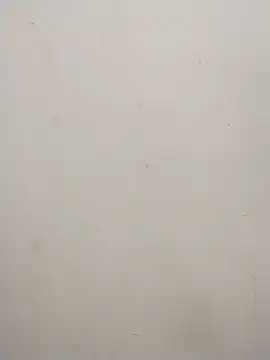 Shuttii 25 online show from 10, 2, 2025