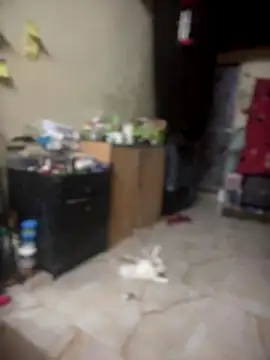 PARI Hun online show from 26, 9, 2025