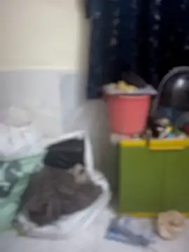 PARI Hun online show from 9, 4, 2026