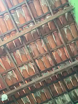 Duduhott online show from 18, 1, 2026