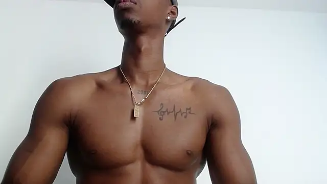 drake brwon 23 online show from 1, 12, 2025