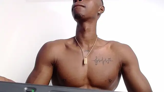 drake brwon 23 online show from 1, 10, 2025