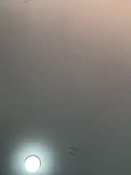  alabina  online show from 5, 2, 2026