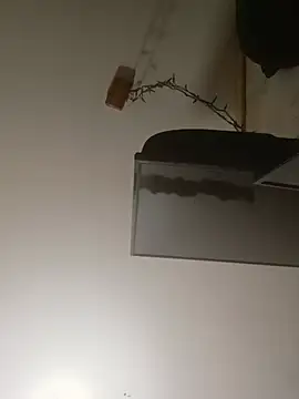 ColdVisitor online show from 3, 6, 2026