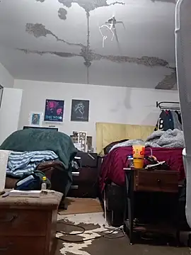 ColdVisitor online show from 25, 2, 2026