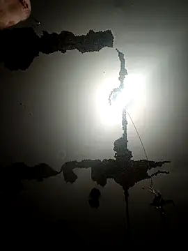 ColdVisitor online show from 7, 10, 2025