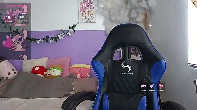 northly online show from 5, 3, 2025