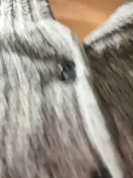 Snapshot of Asia-Lynn chatting on 12, 3, 2025 Asia-Lynn online show from 12, 3, 2025