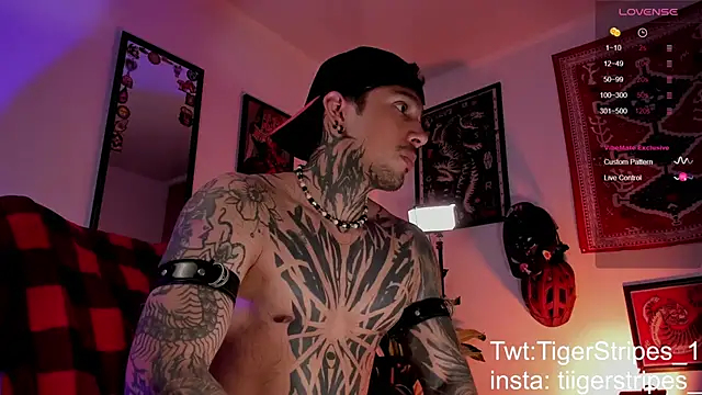 TigerStripes1  online show from 27, 3, 2026