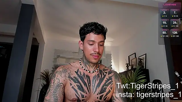 TigerStripes1  online show from 28, 2, 2025