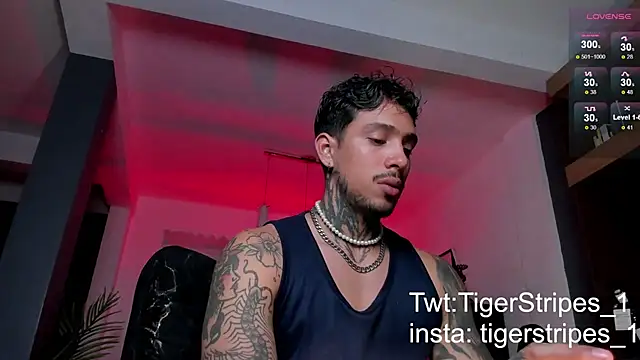 TigerStripes1  online show from 9, 2, 2025