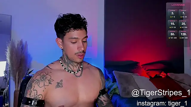 TigerStripes1  online show from 2, 2, 2025