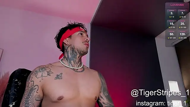 TigerStripes1  online show from 16, 1, 2025