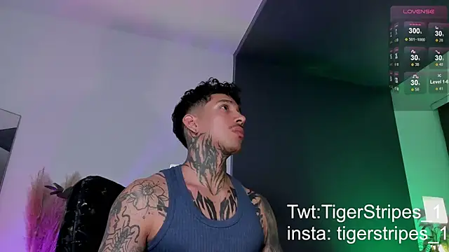 TigerStripes1  online show from 20, 3, 2025