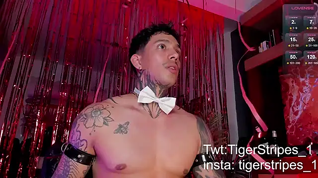 TigerStripes1  online show from 15, 2, 2025