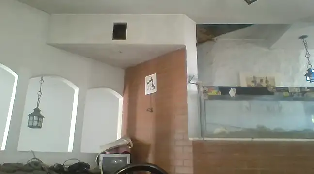 Stevenson988 online show from 6, 2, 2025