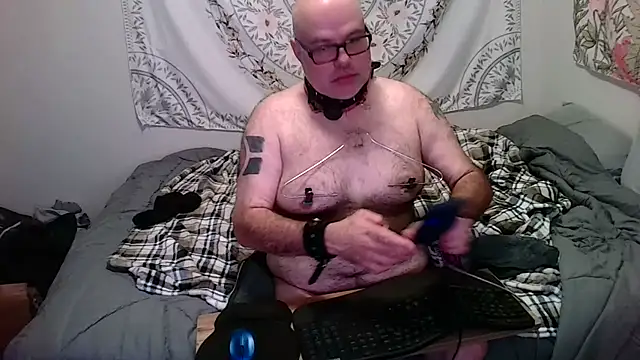 piggy4pain online show from 9, 11, 2025