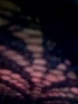 09punjabi online show from 13, 3, 2025