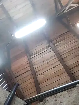 Snapshot of lotrando54 chatting on 29, 12, 2024 lotrando54 online show from 29, 12, 2024