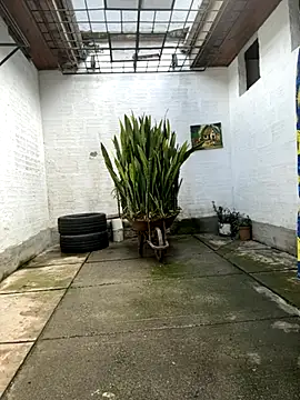 oliver price1 online show from 27, 10, 2025