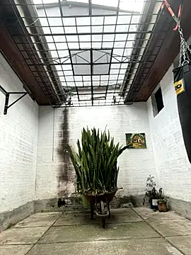 oliver price1 online show from 26, 9, 2025