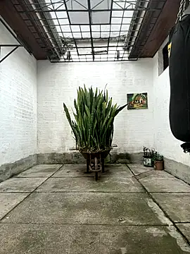 oliver price1 online show from 16, 10, 2025