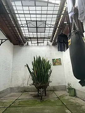 oliver price1 online show from 17, 2, 2026