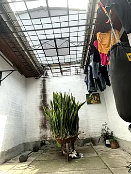 oliver price1 online show from 25, 9, 2025