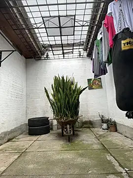 oliver price1 online show from 29, 10, 2025