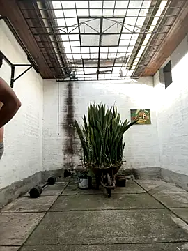 oliver price1 online show from 16, 9, 2025