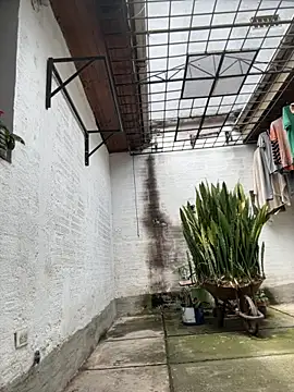 oliver price1 online show from 23, 9, 2025