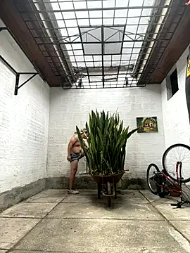 oliver price1 online show from 8, 10, 2025