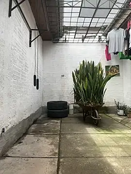 oliver price1 online show from 25, 10, 2025