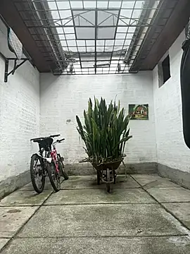 oliver price1 online show from 23, 3, 2026