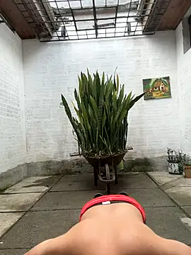 oliver price1 online show from 17, 10, 2025