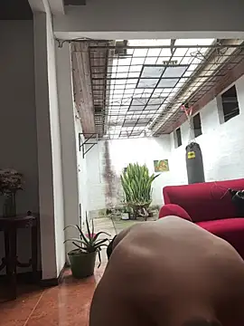 oliver price1 online show from 20, 9, 2025