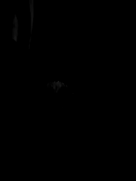 Bernardo085 online show from 12, 4, 2026